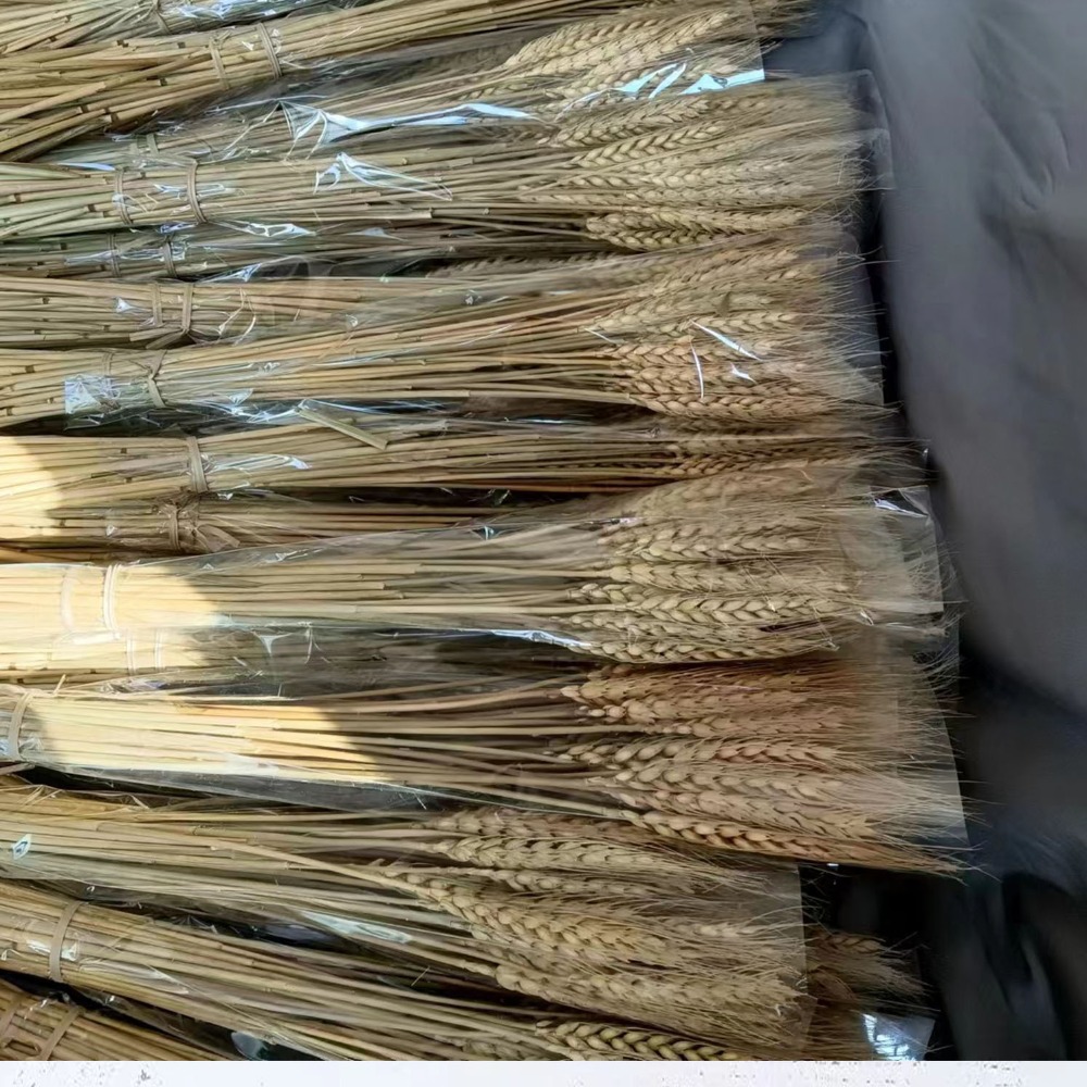 50pcs Artificial Flower Natura – Dried Flower Bulk recenzja i cena