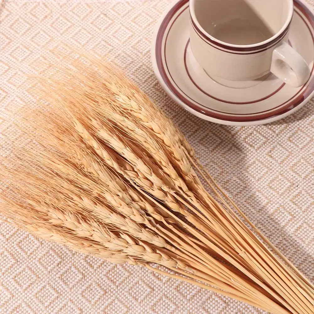 50pcs Artificial Flower Natura – Dried Flower Bulk recenzja i cena