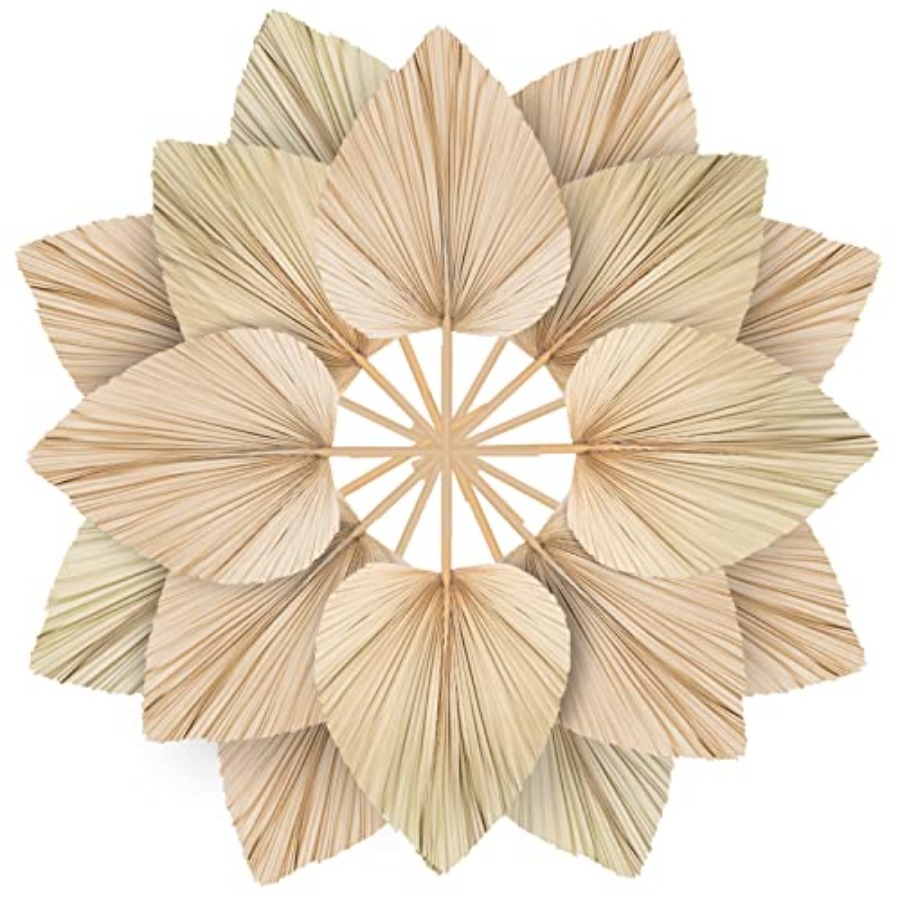 10 Large Bulk Boho Dried Palm  – Dried Flower Bulk recenzja i cena