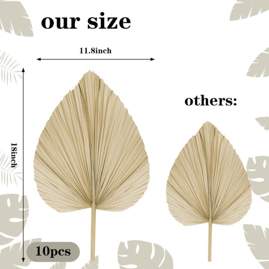 10 Large Bulk Boho Dried Palm  – Dried Flower Bulk recenzja i cena
