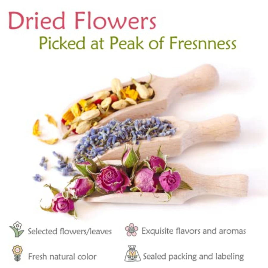 Latest] Pack Dried Flowers for – Dried Flower Bulk recenzja i cena