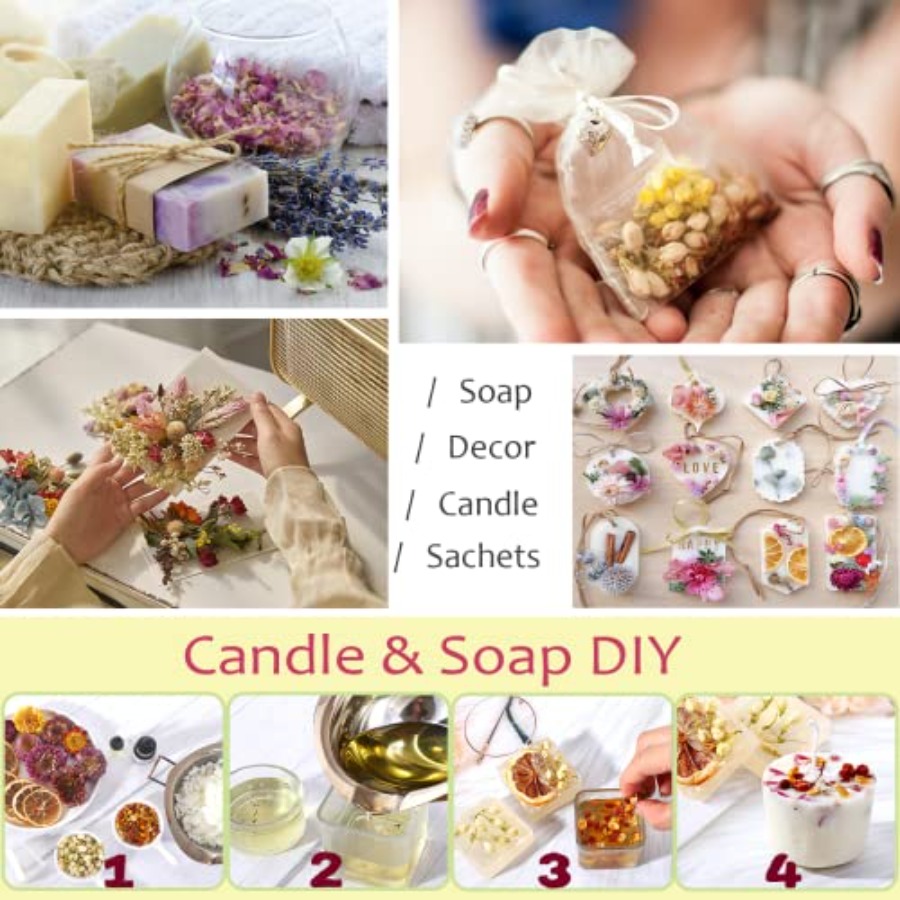 Latest] Pack Dried Flowers for – Dried Flower Bulk recenzja i cena