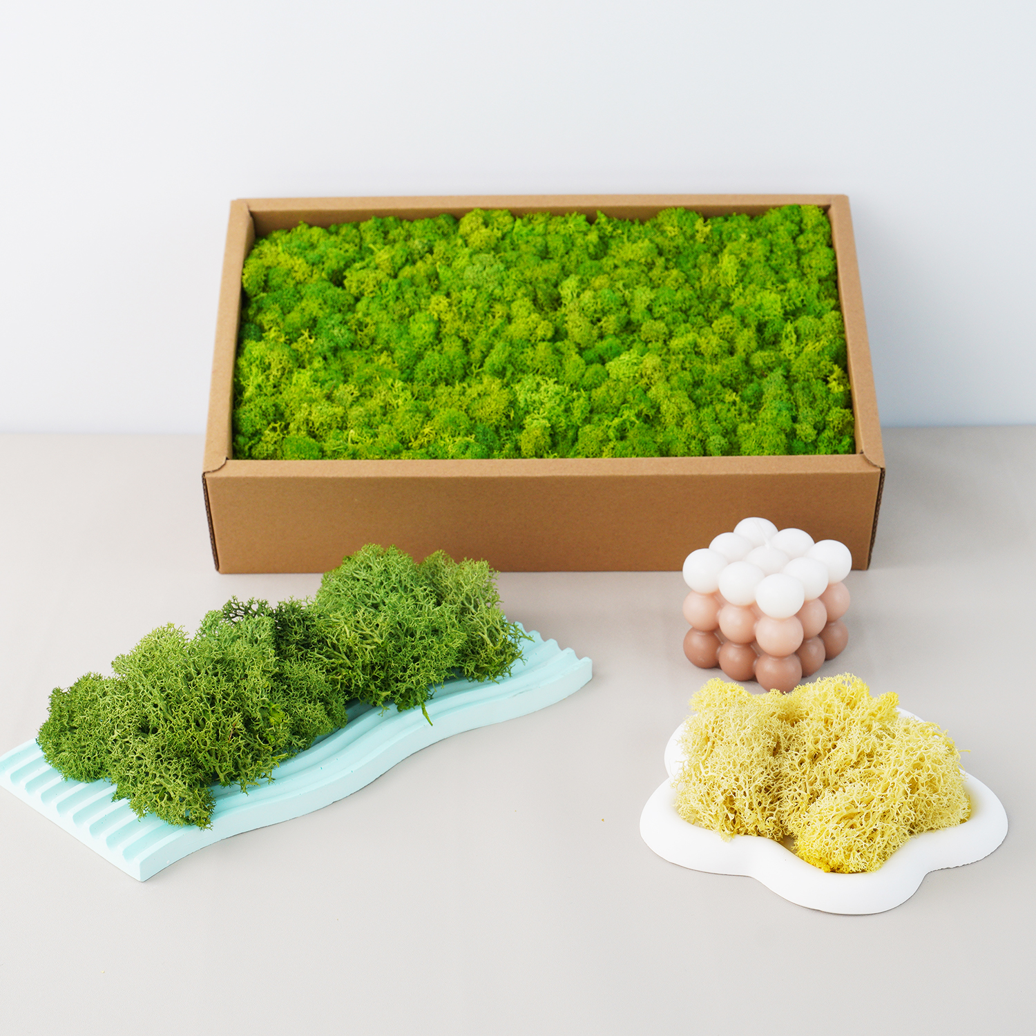 20g Artificial Green Plants Et – Terrarium Moss Art recenzja i cena